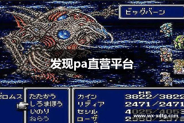 发现pa直营平台